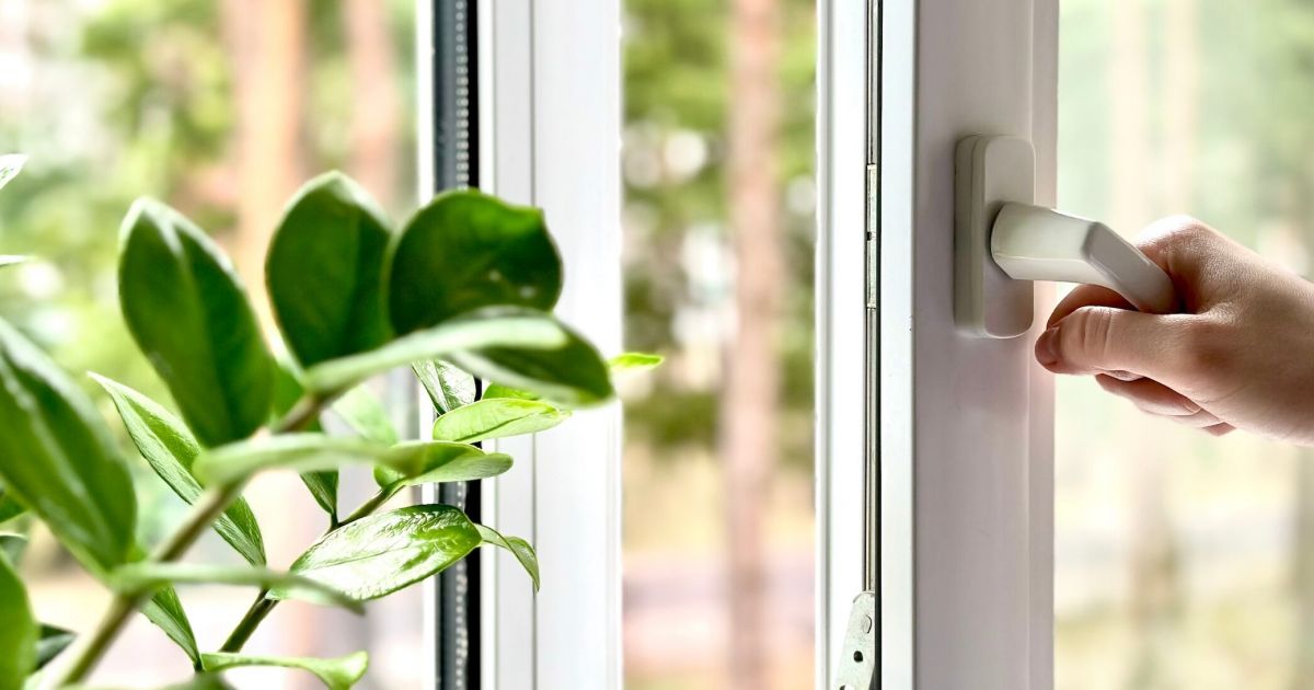 How Energy-Efficient Windows Help You Save Money and Conserve Energy